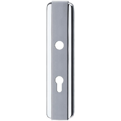 Stainless Steel Handle Plate